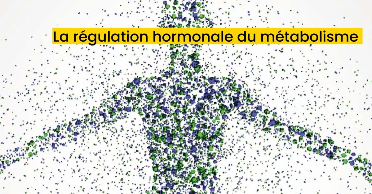 La régulation hormonale du métabolisme